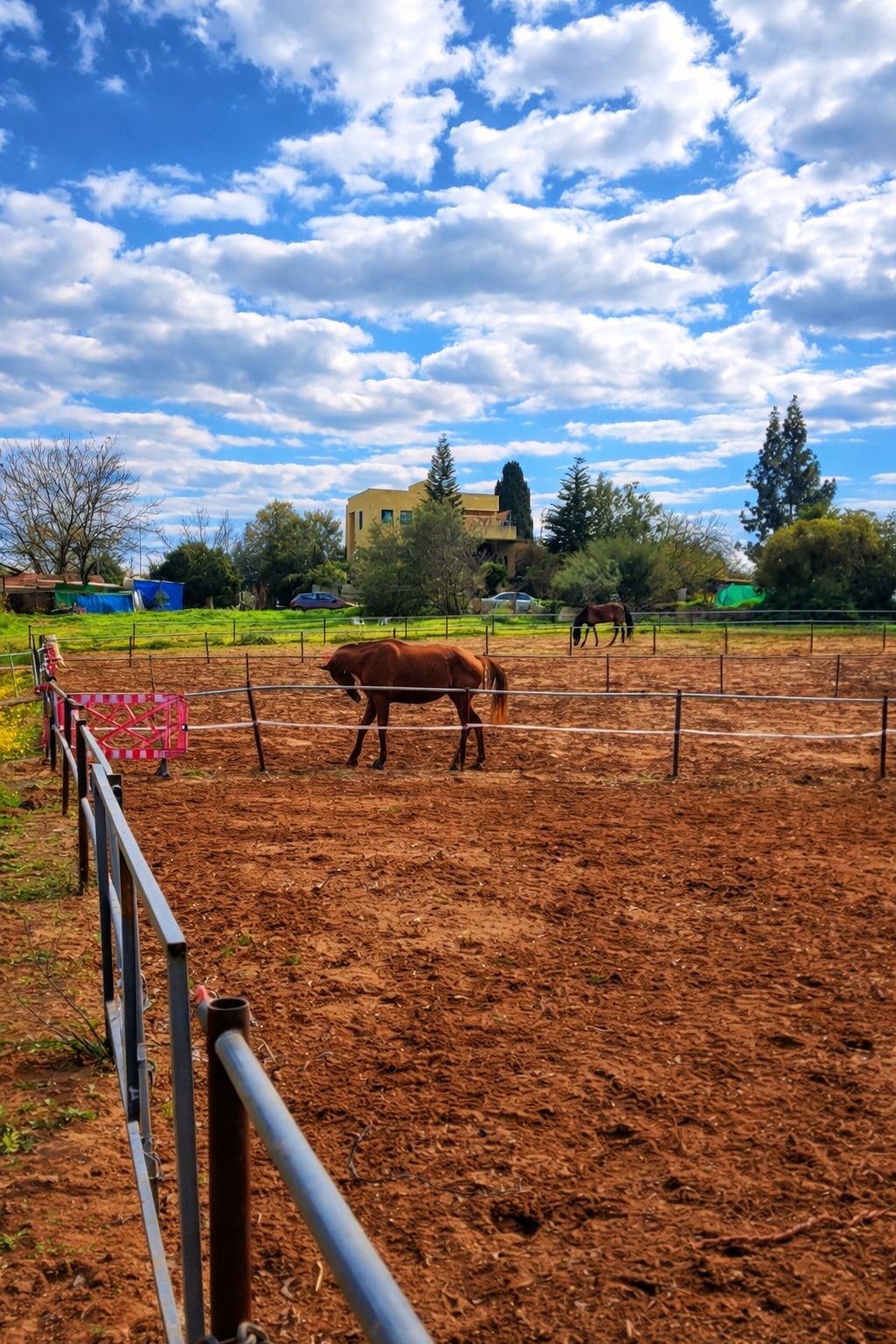מהסמארטפון שלי